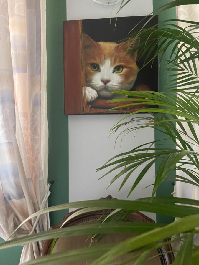 Il Giardino Di Emilia - Intero Appartamento In Villa Con Giardino Privato E Piscina Estiva Pontirolo Nuovo Eksteriør bilde
