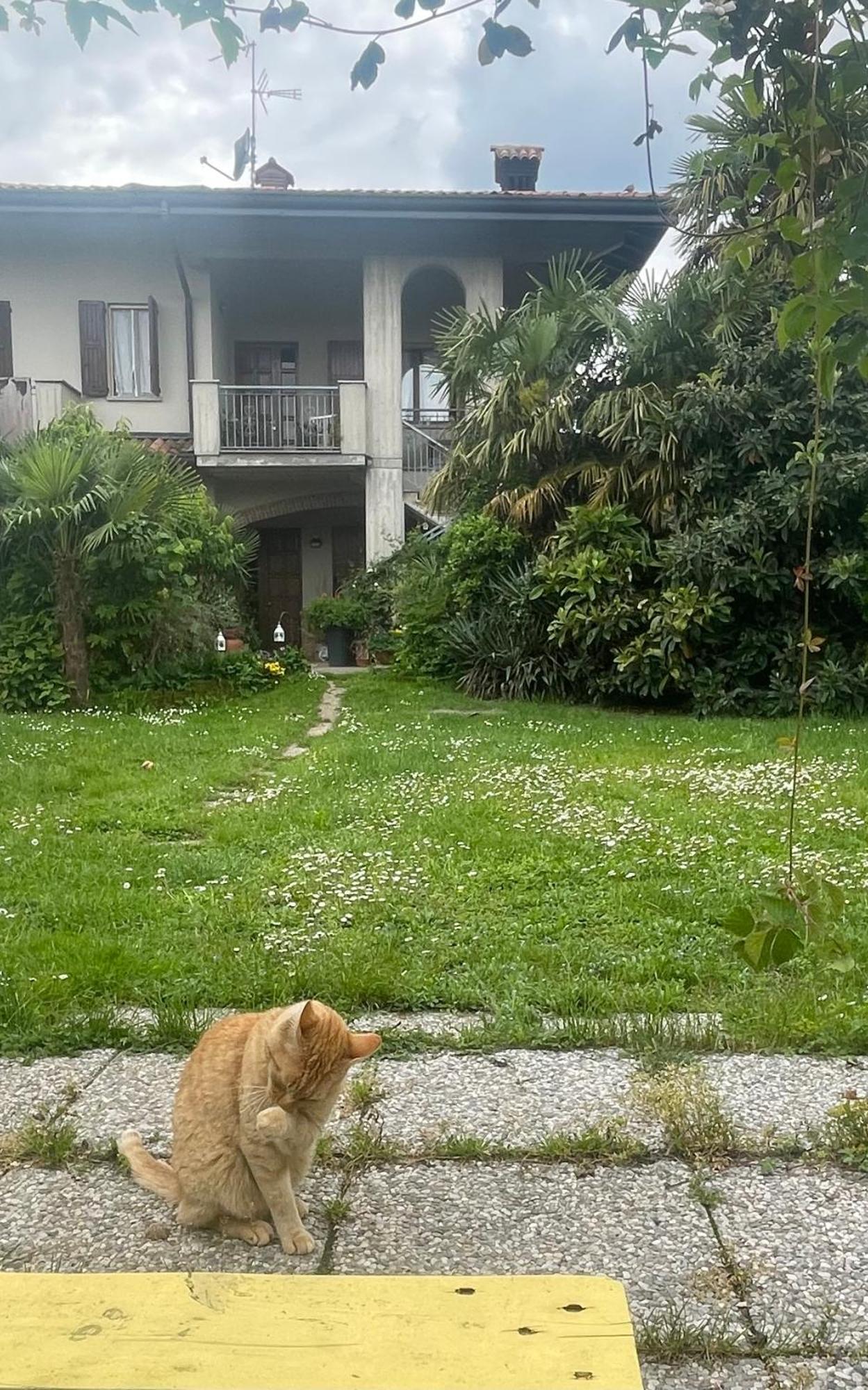 Il Giardino Di Emilia - Intero Appartamento In Villa Con Giardino Privato E Piscina Estiva Pontirolo Nuovo Eksteriør bilde